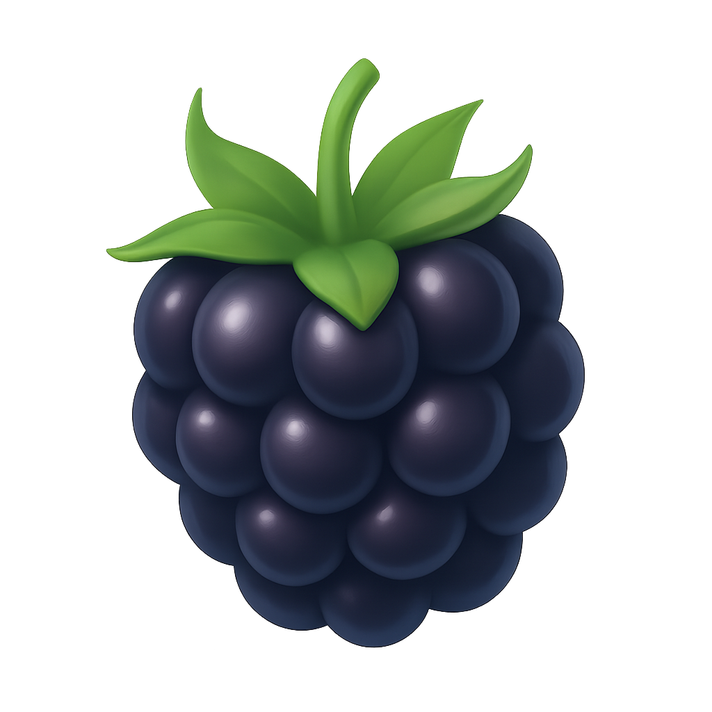 Blackberry Icon