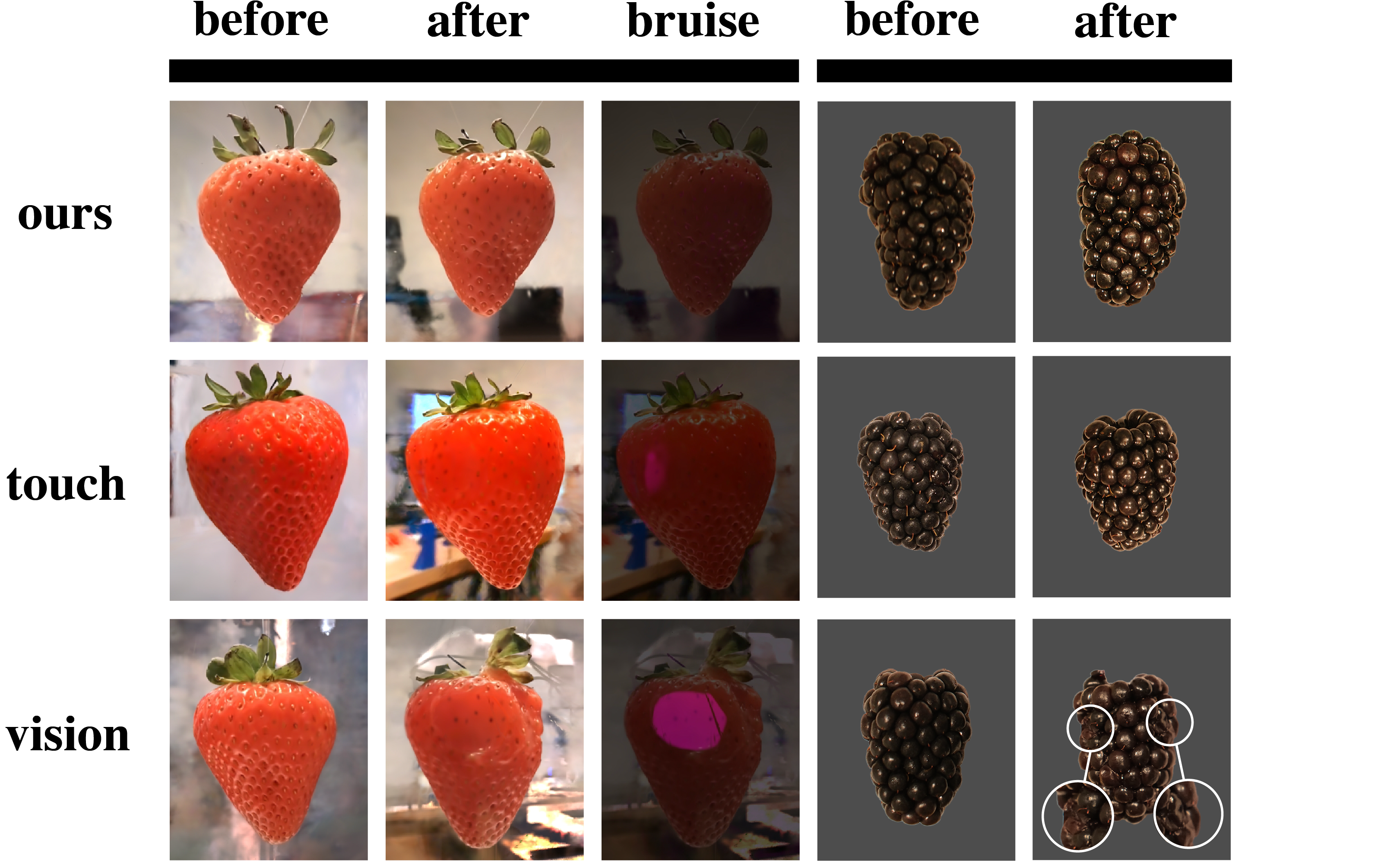 FruitSplat Qualitative Results